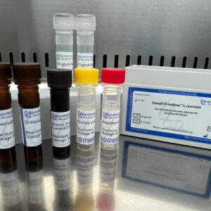 Saccharomyces cerevisiae detection kits