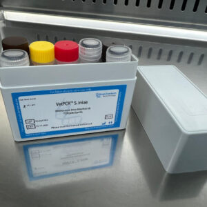 Streptococcus iniae detection kits