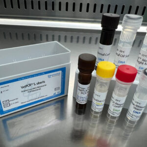Streptococcus uberis detection kits