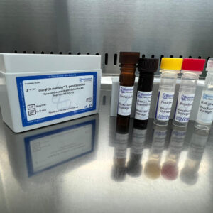 Thysanophora penicilioides detection kits