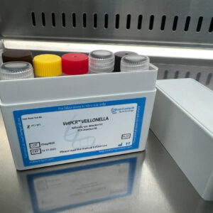 Veillonella spp. detection kits