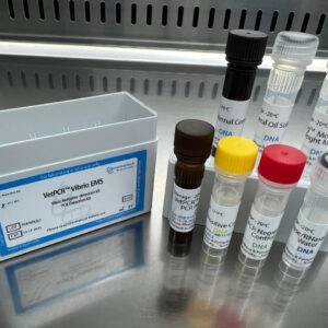 Vibrio Multiplex detection kits