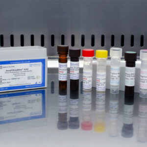 African horse sickness virus detection kits