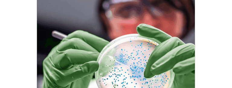 Bio-Rad Launches Rapid PCR Solution for Salmonella Serotyping in Food Safety