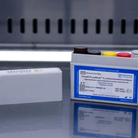 aggregatibacter actinomycetemcomitans one step 100d