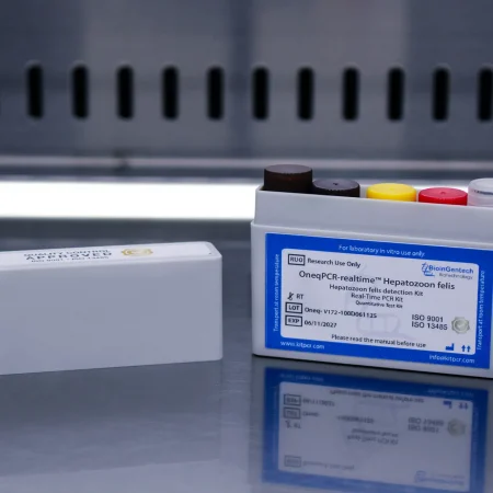 Hepatozoon felis ONE STEP 100D