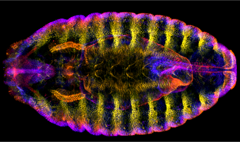 Ultrafiltration Mastery, AI in Bioimaging, and Stem Cell Editing