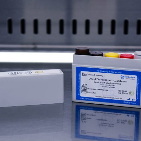 Candida glabatra Oneq H461