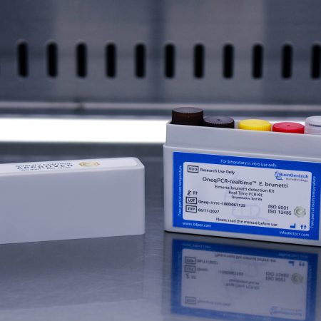 Eimeria brunetti Oneq V791