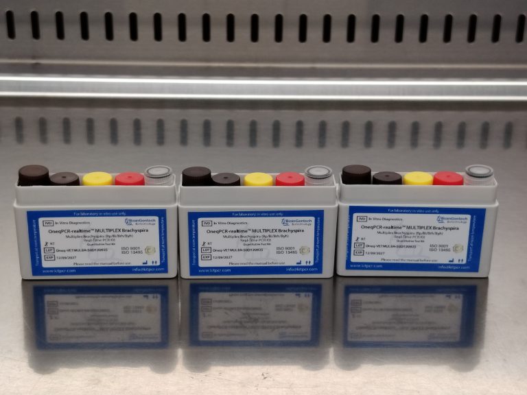 Multiplex One Step Real Time PCR Kit to Italy: Brachyspira Species
