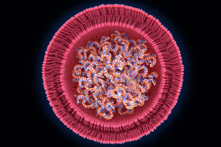 Safe Syringe Solutions for Lipid Nanoparticles: Insights from Stevanato Group