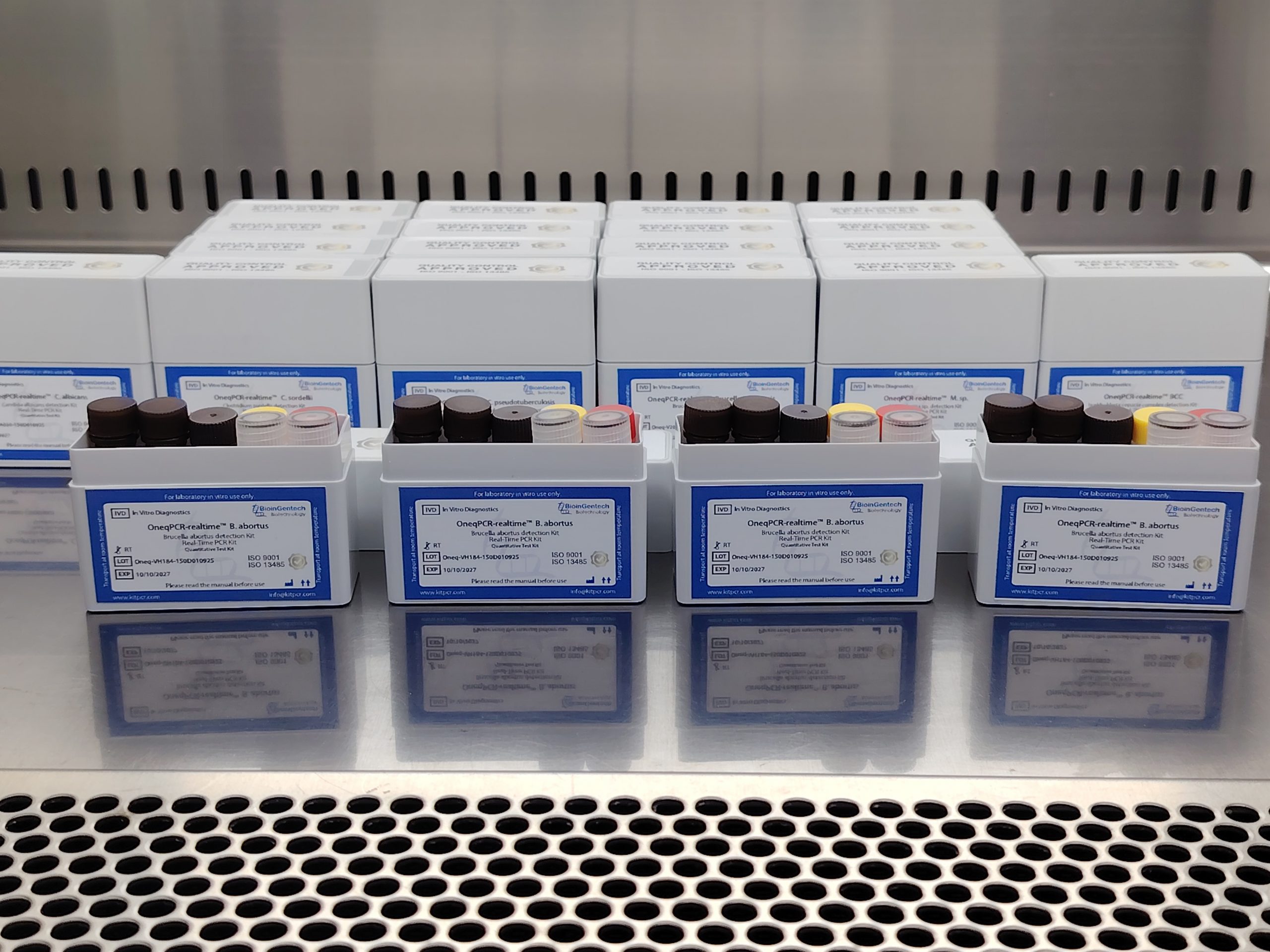 Bioingentech Ships Major PCR Kit Order to Saudi Arabia