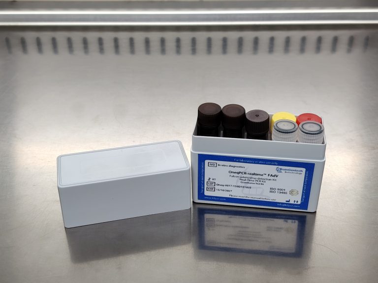 Expanding Our Global Reach: Falcon Real-Time PCR Kit for Adenovirus Arrives in the United Kingdom