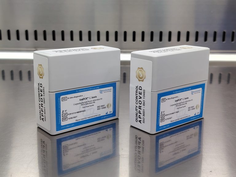 Successful Shipment of Our PCR Kit for Corynebacterium bovis to Belgium