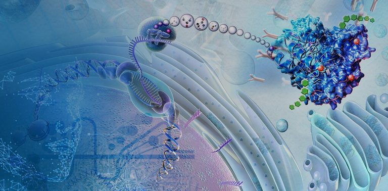 SCIEX Summit 2025 — final call to register