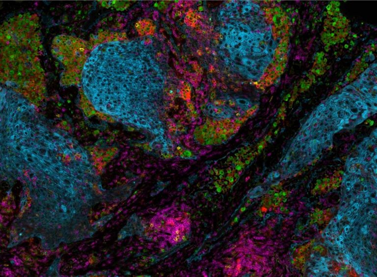 Lunaphore COMET™ and SPYRE™: End-to-End Spatial Biology at SITC 2025