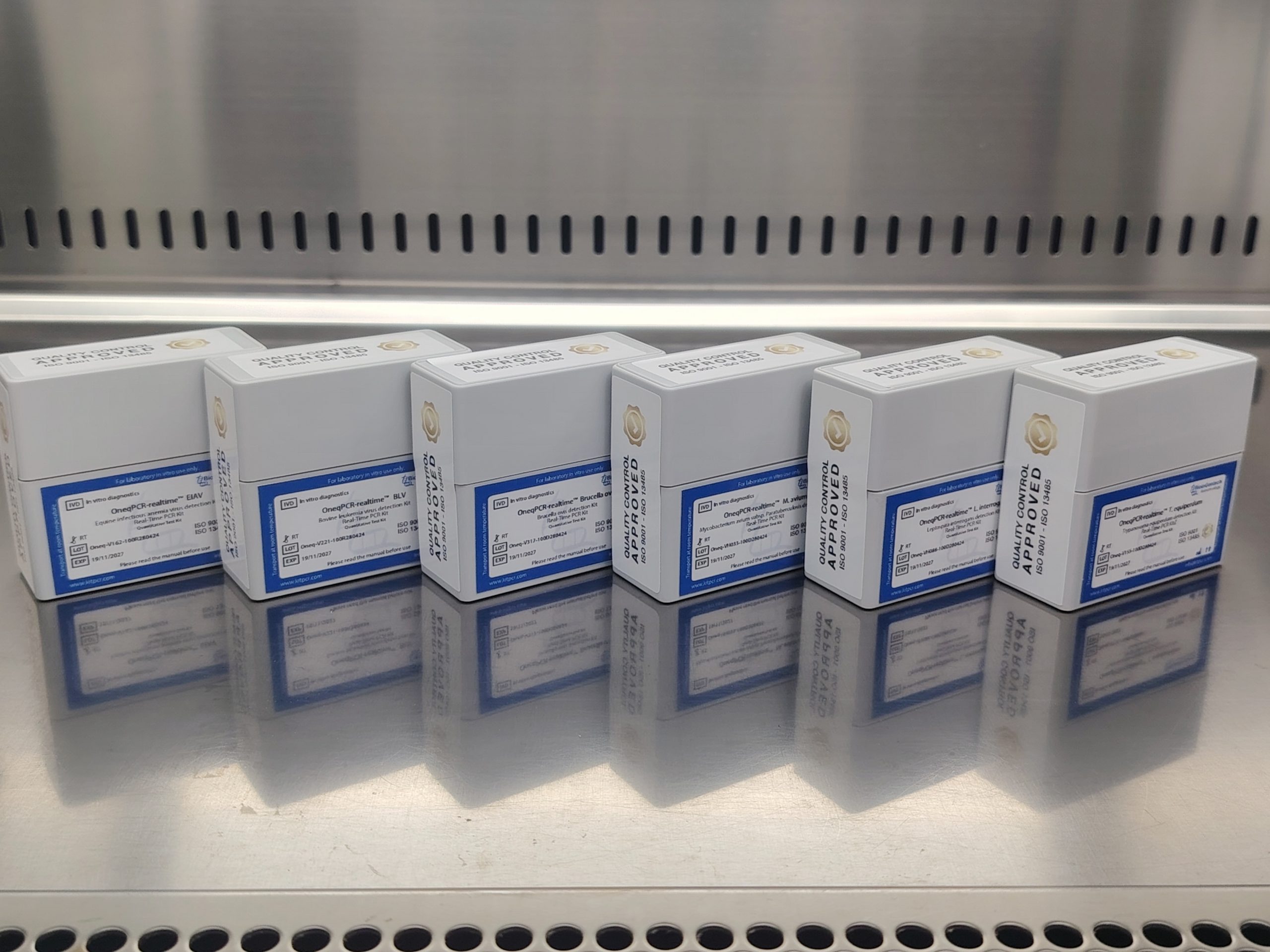 Bioingentech Ships Advanced Veterinary PCR Kits to Austria