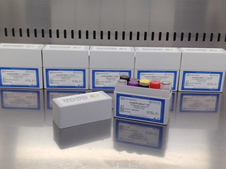 Belgium: Bioingentech Ships New Batch of Veterinary and Clinical PCR Kits