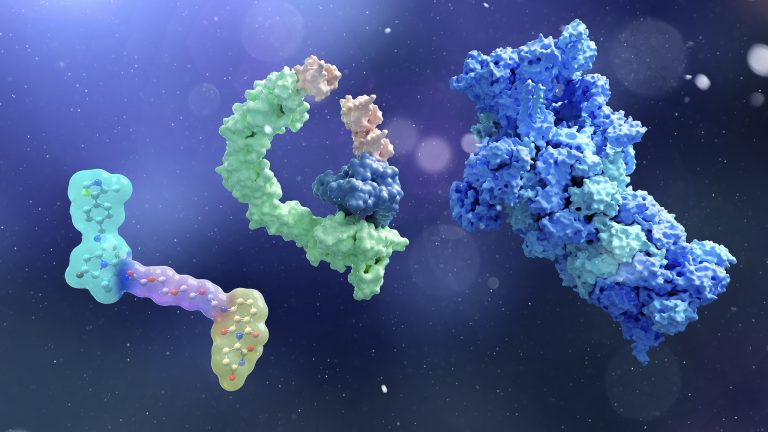 Targeted Protein Degradation, Hydrogen Bond Basics, and Autoclave Compatibility
