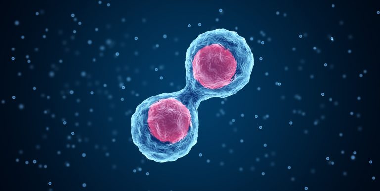 Accelerating Clonal Cell Line Development with Automation and High-Throughput Imaging