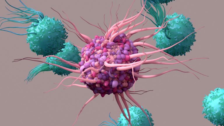 Atlas-Guided Discovery Reveals How T Cells Can Be Reprogrammed to Fight Cancer Without Exhaustion