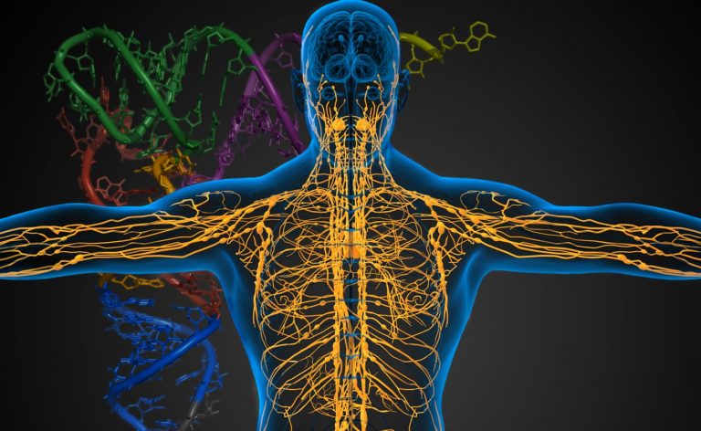 ADAM-tRNA-seq: An Optimized Strategy for Demultiplexing and Hierarchical Mapping in Direct tRNA Sequencing