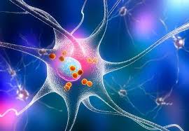 Bio-Techne Launches Ultra-Sensitive Simple Plex Assays on Ella for Femtogram-Level Detection of Neurological Biomarkers