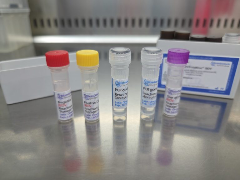 Supporting Viral Research in the United Kingdom: LCMV qPCR Kit Inquiry