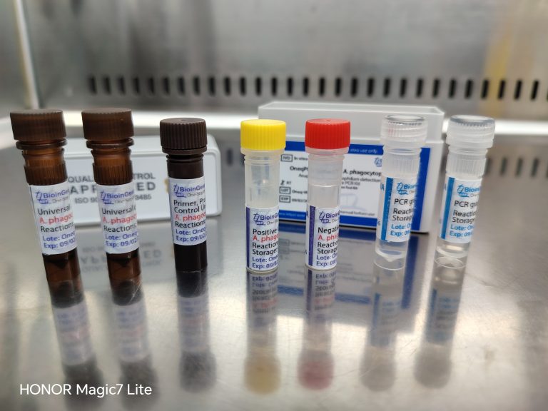 Expanding Tick-Borne Disease Surveillance: Anaplasma phagocytophilum qPCR Kit Requested in Germany