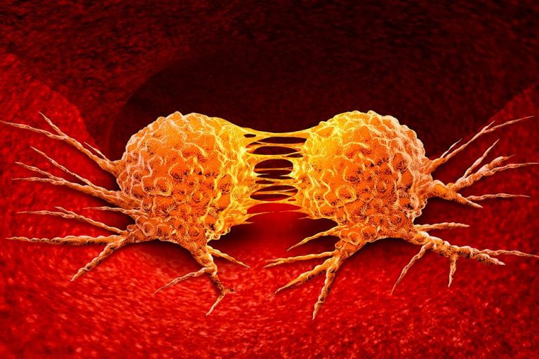 Hallmarks of Cancer: Understanding Invasion and Metastasis at the Molecular Level
