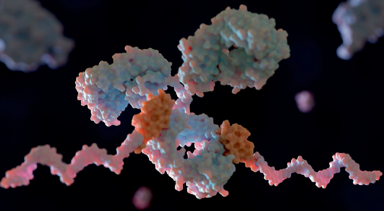 Revvity Signals Webinar Explores a Unified Approach to Designing Small Molecules, Peptides, Oligos, and Antibodies
