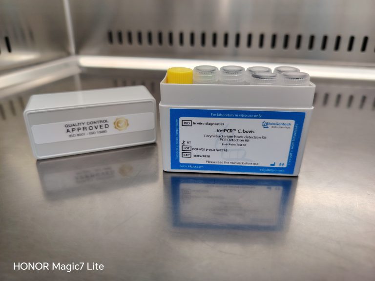Belgium: KitPCR Strengthens Veterinary Diagnostics with Advanced Corynebacterium bovis and Mycoplasma PCR Kits