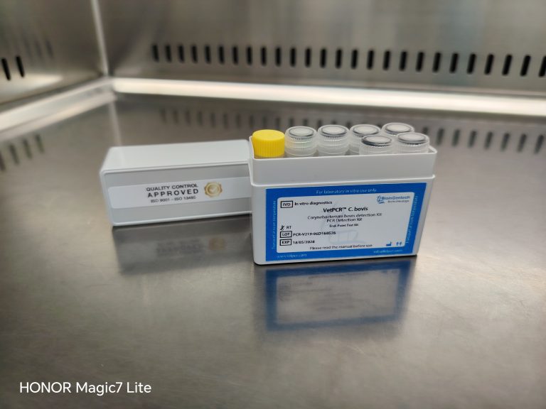 Belgium: KitPCR Introduces Corynebacterium bovis PCR Detection Kit for Enhanced Mastitis Diagnostics