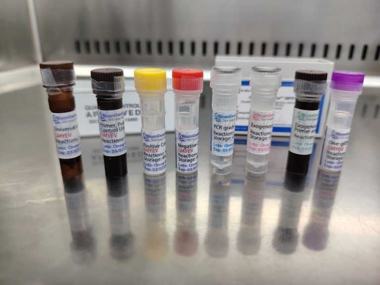 Kazakhstan: Strawberry Virus PCR Detection Kits Delivered
