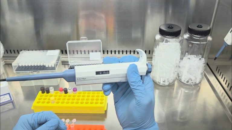  RNA qPCR Kit Quality Control and Standard Curve Preparation