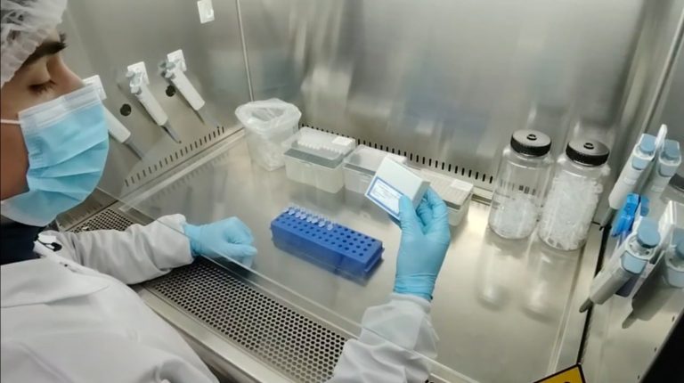 DNA qPCR Kit Quality Control and Quantitative Standard Curve Preparation