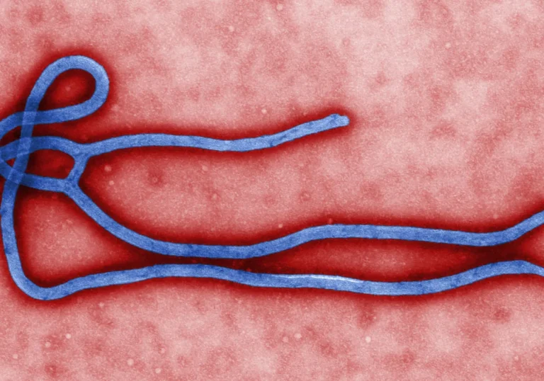 Nine-Laboratory Network Evaluated Four Bundibugyo Virus PCR Tests in Two Weeks During 2026 Ebola Outbreak